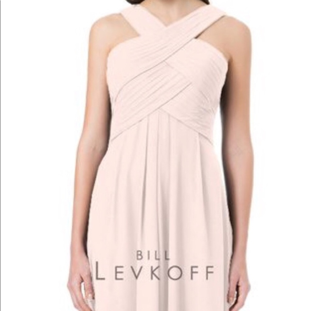 Bill Levkoff Blush Dress